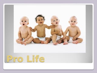 Pro Life
 