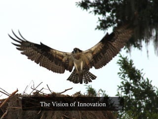 The Vision of Innovation
 
