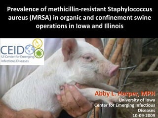 Prevalence of methicillin-resistant Staphylococcus
aureus (MRSA) in organic and confinement swine
         operations in Iowa and Illinois




                              Abby L. Harper, MPH
                                          University of Iowa
                              Center for Emerging Infectious
                                                    Diseases
                                                10-09-2009
 