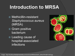 Prevalence of methicillin-resistant Staphylococcus aureus (MRSA) in organic  and confinement swine operations in Iowa and Illinois