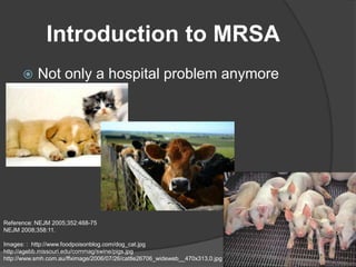 Prevalence of methicillin-resistant Staphylococcus aureus (MRSA) in organic  and confinement swine operations in Iowa and Illinois