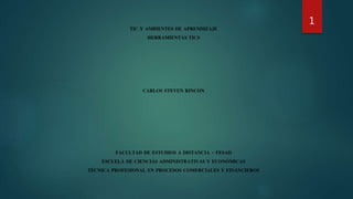 1
TIC Y AMBIENTES DE APRENDIZAJE
HERRAMIENTAS TICS
CARLOS STEVEN RINCÓN
FACULTAD DE ESTUDIOS A DISTANCIA - FESAD
ESCUELA DE CIENCIAS ADMINISTRATIVAS Y ECONÓMICAS
TÉCNICA PROFESIONAL EN PROCESOS COMERCIALES Y FINANCIEROS
 