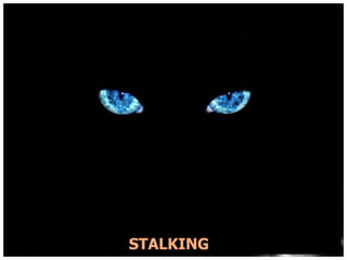 STALKING

 