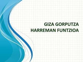 GIZA GORPUTZA
HARREMAN FUNTZIOA
 