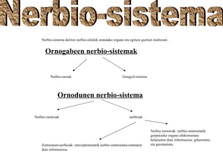 Nerbio-sistema deritzo nerbio-zelulek eratutako organo eta egitura guztien multzoari.


      Ornogabeen nerbio-sistemak


         Nerbio-sareak                                    Gongoil-sistema




              Ornodunen nerbio-sistema

Nerbio-zentroak                                               nerbioak


                                                                             Nerbio motorrak: nerbio-zentroetatik
                                                                             gorputzeko organo efektoreetara
                                                                             helarazten dute informazioa: giharretara
    Zentzumen-nerbioak: errezeptoreetatik nerbio-zentroetara eramaten        eta guruinetara.
    dute informazioa.
 