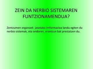 ZEIN DA NERBIO SISTEMAREN
FUNTZIONAMENDUA?
Zentzumen organoek jasotako imformazioa landu egiten du
nerbio sistemak, eta ondoren, erantzun bat prestatzen du.
 