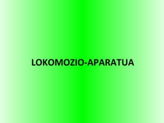 LOKOMOZIO-APARATUA
 
