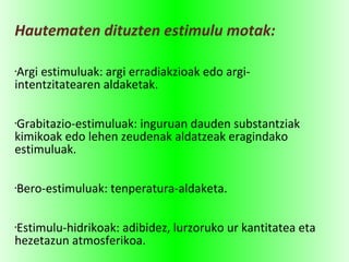 Hautematen dituzten estimulu motak:
•Argi estimuluak: argi erradiakzioak edo argi-
intentzitatearen aldaketak.
•Grabitazio-estimuluak: inguruan dauden substantziak
kimikoak edo lehen zeudenak aldatzeak eragindako
estimuluak.
•Bero-estimuluak: tenperatura-aldaketa.
•Estimulu-hidrikoak: adibidez, lurzoruko ur kantitatea eta
hezetazun atmosferikoa.
 