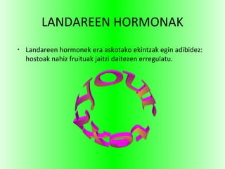 LANDAREEN HORMONAK
•
Landareen hormonek era askotako ekintzak egin adibidez:
hostoak nahiz fruituak jaitzi daitezen erregulatu.
 