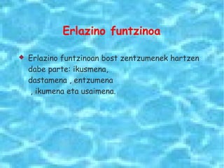 Erlazino funtzinoa 
 Erlazino funtzinoan bost zentzumenek hartzen 
dabe parte: ikusmena, 
dastamena , entzumena 
, ikumena eta usaimena. 
 
