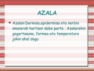AZALA 
 Azalan:Dermisa,epidermisa eta nerbio 
amaierak hartzen dabe parte . Azalarekin 
gogortasuna, formea eta temperatura 
jakin ahal dogu . 
 
