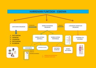 HARREMAN FUNTZIOA - ESKEMA



                               INFORMAZIOA                                                AG...