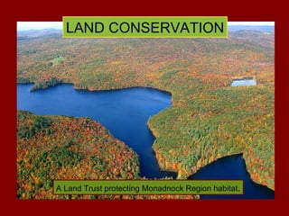 LAND CONSERVATION A Land Trust protecting Monadnock Region habitat . 