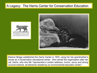 A Legacy:  The Harris Center for Conservation Education Eleanor Briggs established the Harris Center in 1970, using her her grandmother’s house as a conservation educational center.  She named the organization after her cat, Harris, who she felt “ represented a certain wildness, humor, savvy and strong survival instincts, all elements needed by an environmental education center .” 