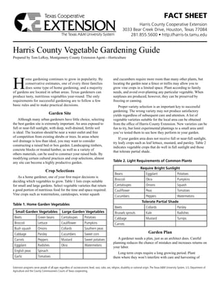 Fact Sheet
                                                                                                                    Harris County Cooperative Extension
                                                                                                            3033 Bear Creek Drive, Houston, Texas 77084
                                                                                                                281.855.5600 • http://harris-tx.tamu.edu


Harris County Vegetable Gardening Guide
Prepared by Tom LeRoy, Montgomery County Extension Agent—Horticulture




H
         ome gardening continues to grow in popularity. By                                        and cucumbers require more room than many other plants, but
         conservative estimates, one of every three families                                      locating the garden near a fence or trellis may allow you to
         does some type of home gardening, and a majority                                         grow vine crops in a limited space. Plant according to family
of gardens are located in urban areas. Texas gardeners can                                        needs, and avoid over-planting any particular vegetable. When
produce tasty, nutritious vegetables year-round. The only                                         surpluses are produced, however, they can be preserved by
requirements for successful gardening are to follow a few                                         freezing or canning.
basic rules and to make practical decisions.                                                         Proper variety selection is an important key to successful
                                                                                                  gardening. The wrong variety may not produce satisfactory
                                   Garden Site                                                    yields regardless of subsequent care and attention. A list of
    Although many urban gardeners have little choice, selecting                                   vegetable varieties suitable for the local area can be obtained
the best garden site is extremely important. An area exposed to                                   from the office of Harris County Extension. New varieties can be
full or near-full sunlight, with deep, well-drained, fertile soil                                 fun to try, but limit experimental plantings to a small area until
is ideal. The location should be near a water outlet and free                                     you’ve tested them to see how they perform in your garden.
of competition from existing shrubs or trees. In areas where
                                                                                                      If your garden area does not receive full or near-full sunlight,
soil drainage is less than ideal, you may want to consider
                                                                                                  try leafy crops such as leaf lettuce, mustard, and parsley. Table 2
constructing a raised bed or box garden. Landscaping timbers,
                                                                                                  indicates vegetable crops that do well in full sunlight and those
concrete blocks or treated lumber, as well as a variety of
                                                                                                  that tolerate partial shade.
others materials, can be used to construct your raised beds. By
modifying certain cultural practices and crop selections, almost
any site can become a highly productive garden.                                                   Table 2. Light Requirements of Common Plants

                                                                                                                             Require Bright Sunlight
                               Crop Selections
                                                                                                    Beans                         Eggplant                       Potatoes
    As a home gardener, one of your first major decisions is
                                                                                                    Broccoli                      Okra                           Pumpkins
deciding which vegetables to grow. Table 1 lists crops suitable
for small and large gardens. Select vegetable varieties that return                                 Cantaloupes                   Onions                         Squash
a good portion of nutritious food for the time and space required.                                  Cauliflower                   Peas                           Tomatoes
Vine crops such as watermelons, cantaloupes, winter squash
                                                                                                    Cucumbers                     Peppers                        Watermelons
                                                                                                                              Tolerate Partial Shade
Table 1. Home Garden Vegetables
                                                                                                    Beets                         Collards                       Parsley
  Small Garden Vegetables                       Large Garden Vegetables                             Brussels sprouts              Kale                           Radishes
 Beets                  Green beans            Cantaloupes            Potatoes                      Cabbage                       Mustard                        Turnips
 Broccoli               Lettuce                Cauliflower            Pumpkins                      Carrots
 Bush squash            Onions                 Collards               Southern peas
 Cabbage                Parsley                Cucumbers              Sweet corn                                                    Garden Plan
 Carrots                Peppers                Mustard                Sweet potatoes                 A gardener needs a plan, just as an architect does. Careful
                                                                                                  planning reduces the chance of mistakes and increases returns on
 Eggplant               Radishes               Okra                   Watermelons                 your labor.
 English peas           Spinach
                                                                                                     Long-term crops require a long growing period. Plant
 Garlic                 Tomatoes                                                                  them where they won’t interfere with care and harvesting of

Extension programs serve people of all ages regardless of socioeconomic level, race, color, sex, religion, disability or national origin. The Texas A&M University System, U.S. Department of
Agriculture and the County Commissioners Courts of Texas cooperating.
 