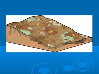 Harri sedimentarioak