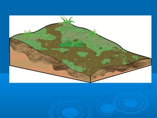Harri sedimentarioak