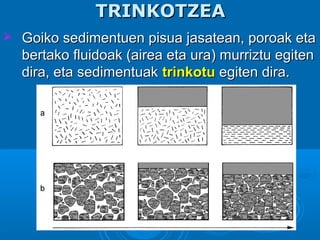 TRINKOTZEATRINKOTZEA
 Goiko sedimentuen pisua jasatean, poroak etaGoiko sedimentuen pisua jasatean, poroak eta
bertako fluidoak (airea eta ura) murriztu egitenbertako fluidoak (airea eta ura) murriztu egiten
dira, eta sedimentuakdira, eta sedimentuak trinkotutrinkotu egiten dira.egiten dira.
 