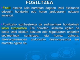 FOSILTZEAFOSILTZEA
FosilFosil esaten zaio harrietan dagoen izaki bizidunenesaten zaio harrietan dagoen izaki bizidunen
edozein hondakini edo haren jardueraren edozeinedozein hondakini edo haren jardueraren edozein
arrastori.arrastori.
Fosiltzeko ezinbestekoa da sedimentuek hondakinakFosiltzeko ezinbestekoa da sedimentuek hondakinak
laster lurperatzealaster lurperatzea. Era horretan, saihestu egiten da. Era horretan, saihestu egiten da
beste izaki bizidun batzuen edo higaduraren ondoriozbeste izaki bizidun batzuen edo higaduraren ondorioz
sedimentuak suntsitzea, eta horrez gainera,sedimentuak suntsitzea, eta horrez gainera,
mikroorganismoen ondoriozko deskonposizioa eremikroorganismoen ondoriozko deskonposizioa ere
murriztu egiten da.murriztu egiten da.
 