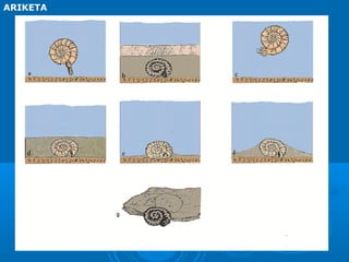 ARIKETA
 