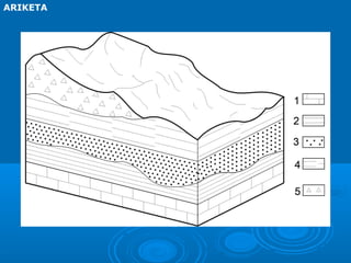 ARIKETA
 