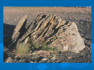Harri sedimentarioak