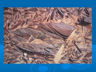 Harri sedimentarioak