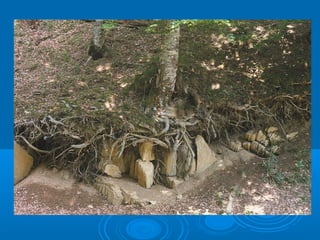 Harri sedimentarioak