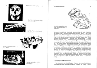 Propliopithecus Skeleton Harris, Marvin - Introducción a la antropología general .pdf