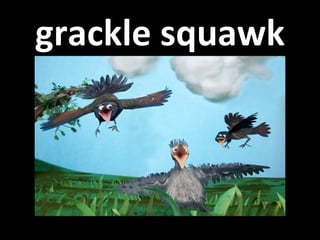 grackle squawk 