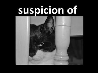 suspicion of  