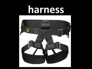 harness 