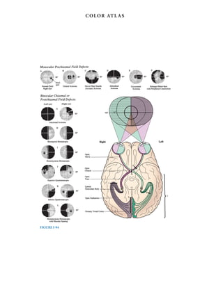 Harrison study questions.pdf