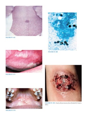 Harrison study questions.pdf