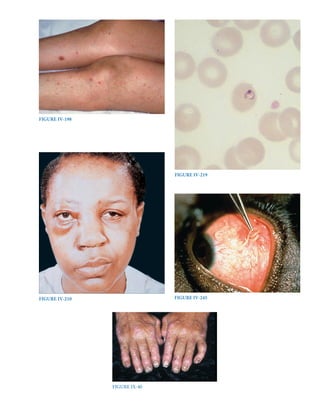 Harrison study questions.pdf