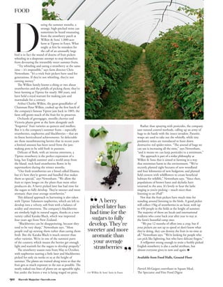 FOOD




 D
                        uring the summer months, a
                        strange, high-pitched noise can
                        sometimes be heard emanating
                        from the strawberry patch at
                        Wilkin  Sons’ 1,000-acre
                        farm at Tiptree in Essex. What
                        might at first be mistaken for
                        the call of an unusually large
 bird is in fact the sound of dozens of fruit pickers
 whistling in a desperate attempt to stop themselves
 from devouring the irresistibly sweet summer fruits.
    “Try whistling and eating a strawberry at the same
 time – it’s impossible,” says farm director Chris
 Newenham. “It’s a trick fruit pickers have used for
 generations. If they’re not whistling, they’re not
 earning money.”
    The Wilkin family knows a thing or two about
 strawberries and the pitfalls of picking them; they’ve
 been farming at Tiptree for nearly 300 years, and
 have held a royal warrant for making jam and
 marmalade for a century.
    Arthur Charles Wilkin, the great-grandfather of
 Chairman Peter Wilkin, cooked up the first batch of
 the company’s famous Tiptree jam back in 1885; the
 farm still grows much of the fruit for its preserves.
    Orchards of greengages, morello cherries and
 Victoria plums grow at the farm alongside such
 “forgotten” fruit varieties as quinces and medlars.                                                 Rather than spraying with pesticides, the company
 But it is the company’s summer fruits – especially                                               uses natural control methods, calling up an army of
 strawberries, raspberries and blackberries – that are                                            bugs to do battle with the insect invaders. Parasitic
 its finest horticultural achievements. So delectable                                             wasps are used to take out the whitefly, while tiny
 are these mouthwatering berries that in recent years                                             predatory mites are introduced to hunt down
 a limited amount has been saved from the jam-                                                    destructive red spider mites. “The arsenal of bugs we
 making pots to be sold fresh in punnets.                                                         can use is increasing all the time,” says Newenham,
    Delicate of flesh, with an intense sweetness, a                                               “and it means we can keep pesticides to a minimum.”
 Tiptree strawberry is the perfect expression of a                                                   The approach is part of a wider philosophy at
 long, hot English summer and a world away from                                                   Wilkin  Sons that is aimed at farming in a way
 the bland, rock-hard strawberries flown in by                                                    that minimises harm to the environment. “We’ve
 supermarkets during the winter months.                                                           recently planted eight hectares of new woodland
    “Our fresh strawberries are a breed called Elsanta,                                           and four kilometres of new hedgerow, and planted
 but it’s how they’re grown and handled that makes                                                field corners with wildflowers to create beneficial
 them so special,” says Newenham. “We allow the                                                   habitats for wildlife,” Newenham says. “Since then,
 fruit to ripen longer on the plant than most other                                               populations of brown hares and skylarks have
 producers do. A berry picked later has had time for                                              returned to the area. It’s lovely to hear the larks
 the sugars to fully develop. They’re sweeter and more                                            singing as you’re picking – much nicer than
 aromatic than your average strawberries.”                                                        listening to an iPod!”
    This delayed approach to harvesting is also taken                                                Not that the fruit pickers have much time for
 with Tiptree Tulameen raspberries, which are left to             A berry                         standing around listening to the birds. A good picker
 develop into a velvety, soft fruit with a balance of                                             will collect 15kg of strawberries in an hour, with up
 acidity and sweetness. The company’s blackberries            picked later has                    to 450 people in the fields at the height of summer.
 are similarly high in natural sugars, thanks to a new        had time for the                    The majority of them are locals and international
 variety called Karaka Black, which was imported                                                  students who come back year after year to stay at
 four years ago from New Zealand.                              sugars to fully                    the farm’s beautiful camp sites.
     “Blackberries can be disappointing, because they
 tend to be very sharp,” Newenham says. “Most
                                                              develop. They’re                        “We put 12 months of effort into a crop, but if
                                                                                                  your pickers are not up to speed or don’t know what
 people end up stewing them rather than eating them          sweeter and more                     they’re doing, they can destroy the fruit in no time at
 fresh. But the Karaka Black is much sweeter than
 other varieties. We’re in one of the sunniest parts
                                                               aromatic than                      all,” Newenham says. “We’re looking for people who
                                                                                                  can pick like lightning, but who have delicate fingers.”
 of the country, which means the berries get enough             your average                         A willpower strong enough to resist a freshly picked
 light and warmth for the sugars to develop properly.”
    The strawberry season runs from May to October,
                                                                strawberries                      English strawberry is also a useful attribute, but
                                                                                                  almost everyone gives in now and again. HMN
 with raspberries starting a little later and blackberries
 picked for only six weeks or so at the height of                                                 Available from Food Halls, Ground Floor
 summer. The plants are trained along wires so that the
 fruit gets as much exposure to the sun as possible. The
 neatly staked-out lines of plants are an agreeable sight,                                        Patrick McGuigan contributes to Square Meal,
 but under the leaves a war is being waged on pests.         TOP   Wilkin  Sons’ farm in Essex   The Spectator and Fine Food Digest

90   Harrods Magazine • harrods.com
 
