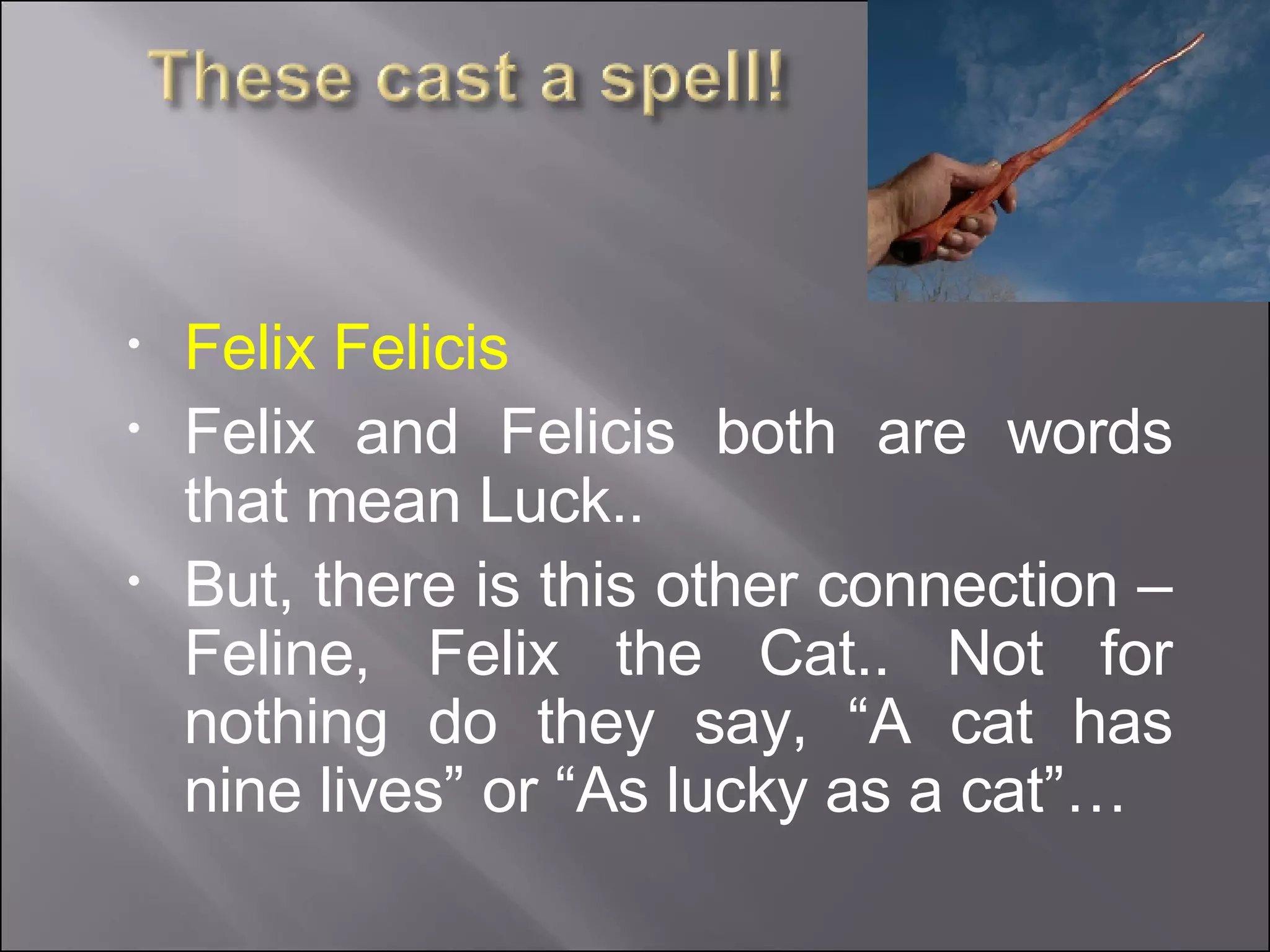 Felix Felicis Felix and Felicis both are words that mean Luck..  But, there is this other connection – Feline, Felix the Cat.. Not for nothing do they say, “A cat has nine lives” or “As lucky as a cat”… 