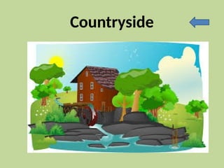 Countryside
 