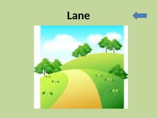 Lane
 