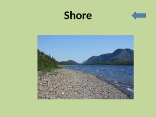 Shore
 
