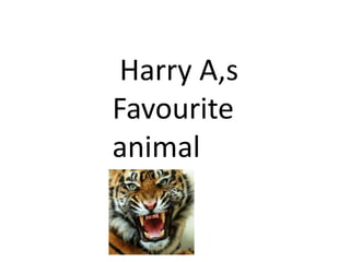 Harry A,s
Favourite
animal
 