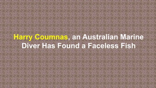 Harry Coumnas, an Australian Marine
Diver Has Found a Faceless Fish
 