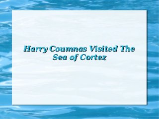 Harry Coumnas Visited The
       Sea of Cortez
 