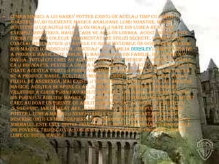 Lumea magică a lui Harry Potter există în acelaşi timp cu lumea noastră, având elemente magice analoage lumii noastre. Multe institute şi localităţi se află în oraşe şi sate din lumea reală, de exemplu Ministerul Magiei care se află în Londra. Acest univers este format dintr-o colecţie fragmentată de străzi secrete, bodegi vechi, coacuri singuratece şi castele ce rămân invizibile în ochii persoanelor non-magice (cunoscuţi ca „Încuiaţi”, ex: familia  Dursley ). Abilitatea de a produce magie este dobândită mai degrabă din familie, decât prin a o învăţa, totuşi cei care au această abilitate trebuie să urmeze o şcoală, ca şi Hogwarts, pentru a învăţa să folosească şi să stăpânească magia. Cu toate acestea există şi părinţi-vrăjitori ai căror copii nu au abilitatea de a produce magie, aceştia numindu-se „noni” (ex: doamna Figg, Argus Filch). De asemenea, mai există şi vrăjitori a căror parinţi nu au abilităţi magice, aceştea se spune că au „sânge-mâl” (ex: Hermione Granger). Vrăjitorii a căror părinţi au abilităţi magice, iar ambii lor părinţi provin din părinţi cu abilităţi magice au „sânge-pur” (ex: Ronald Weasley), iar cei care au doar un părinte cu abilităţi magice sau au doar un părinte cu „sânge-pur”, iar celălat are „sânge-mâl” au „sânge-semipur” (ex: Harry Potter). Lumea magică şi numeroasele ei elemente fantastice sunt descrise într-un mod surprinzător şi magnific. Îmbinarea magicului cu normalul este unul dintre principalele motive din roman; personajele din poveste trăiesc o viaţă obişnuită cu problemele ei obişnuite, într-o lume cu totul magică. 