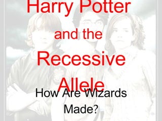 Harry Potter  and the   Recessive Allele How Are Wizards Made ? 