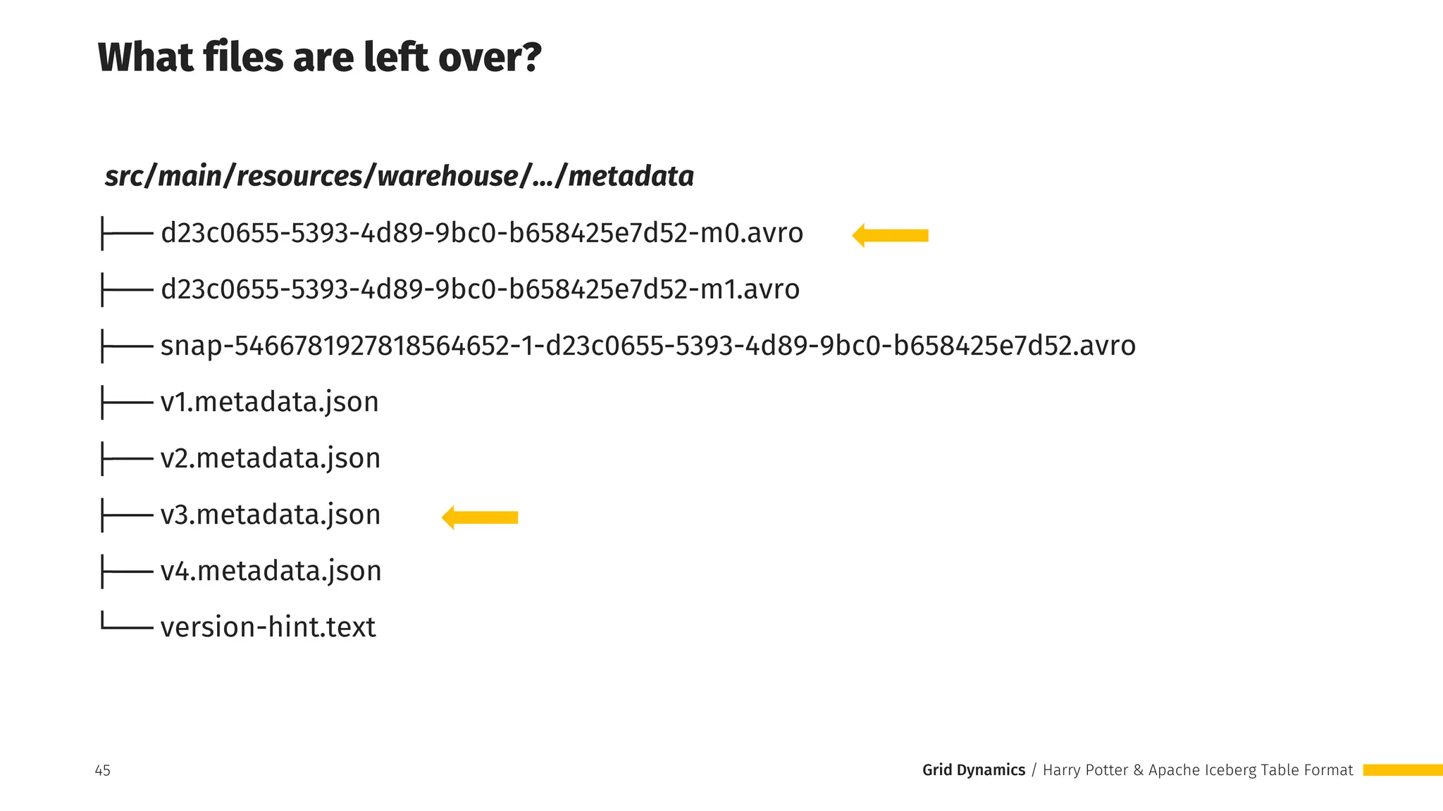Grid Dynamics / Harry Potter & Apache Iceberg Table Format
45
What files are left over?
src/main/resources/warehouse/…/metadata
├── d23c0655-5393-4d89-9bc0-b658425e7d52-m0.avro
├── d23c0655-5393-4d89-9bc0-b658425e7d52-m1.avro
├── snap-5466781927818564652-1-d23c0655-5393-4d89-9bc0-b658425e7d52.avro
├── v1.metadata.json
├── v2.metadata.json
├── v3.metadata.json
├── v4.metadata.json
└── version-hint.text
 