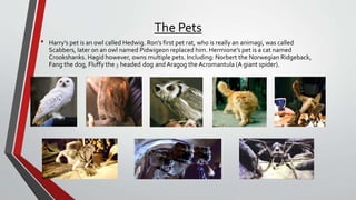 The Pets
• Harry’s pet is an owl called Hedwig. Ron’s first pet rat, who is really an animagi, was called
Scabbers, later on an owl named Pidwigeon replaced him. Hermione’s pet is a cat named
Crookshanks. Hagid however, owns multiple pets. Including: Norbert the Norwegian Ridgeback,
Fang the dog, Fluffy the 3 headed dog and Aragog the Acromantula (A giant spider).
 