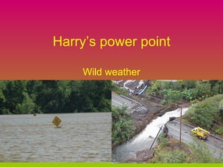 Harry’s power point Wild weather 