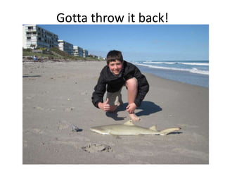 Gotta throw it back!
 