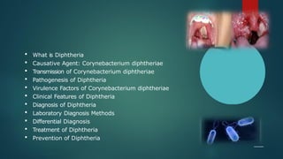  What is Diphtheria
 Causative Agent: Corynebacterium diphtheriae
 Transmission of Corynebacterium diphtheriae
 Pathogenesis of Diphtheria
 Virulence Factors of Corynebacterium diphtheriae
 Clinical Features of Diphtheria
 Diagnosis of Diphtheria
 Laboratory Diagnosis Methods
 Differential Diagnosis
 Treatment of Diphtheria
 Prevention of Diphtheria
 